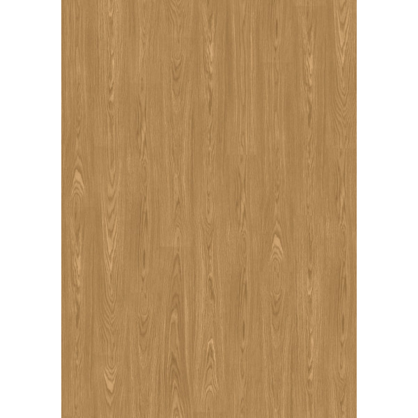 52X Roble Egeo